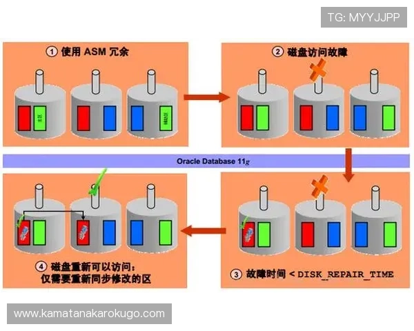 如何快速访问db体育官网入口确保账号安全与游戏体验优化指南